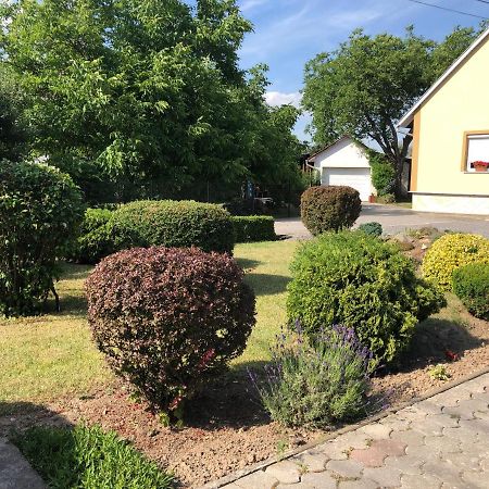 Hotel Katalin Vendeghaz Sárospatak Zewnętrze zdjęcie